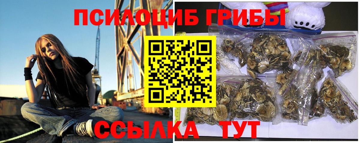 Галлюциногенные грибы мицелий  Вход с VPN  Лосино-Петровский 